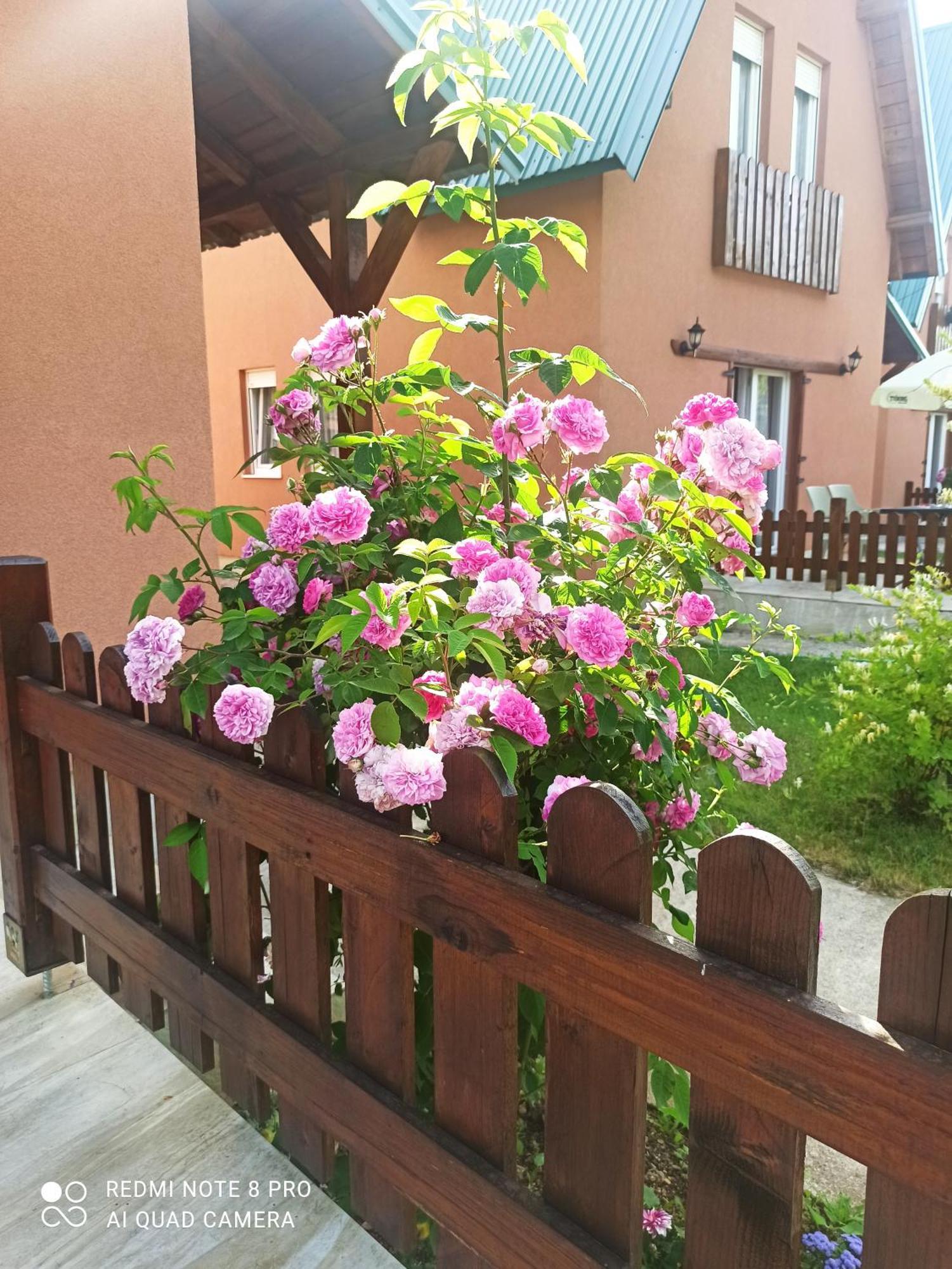 Holiday Home Ivana โคลาชิน ภายนอก รูปภาพ