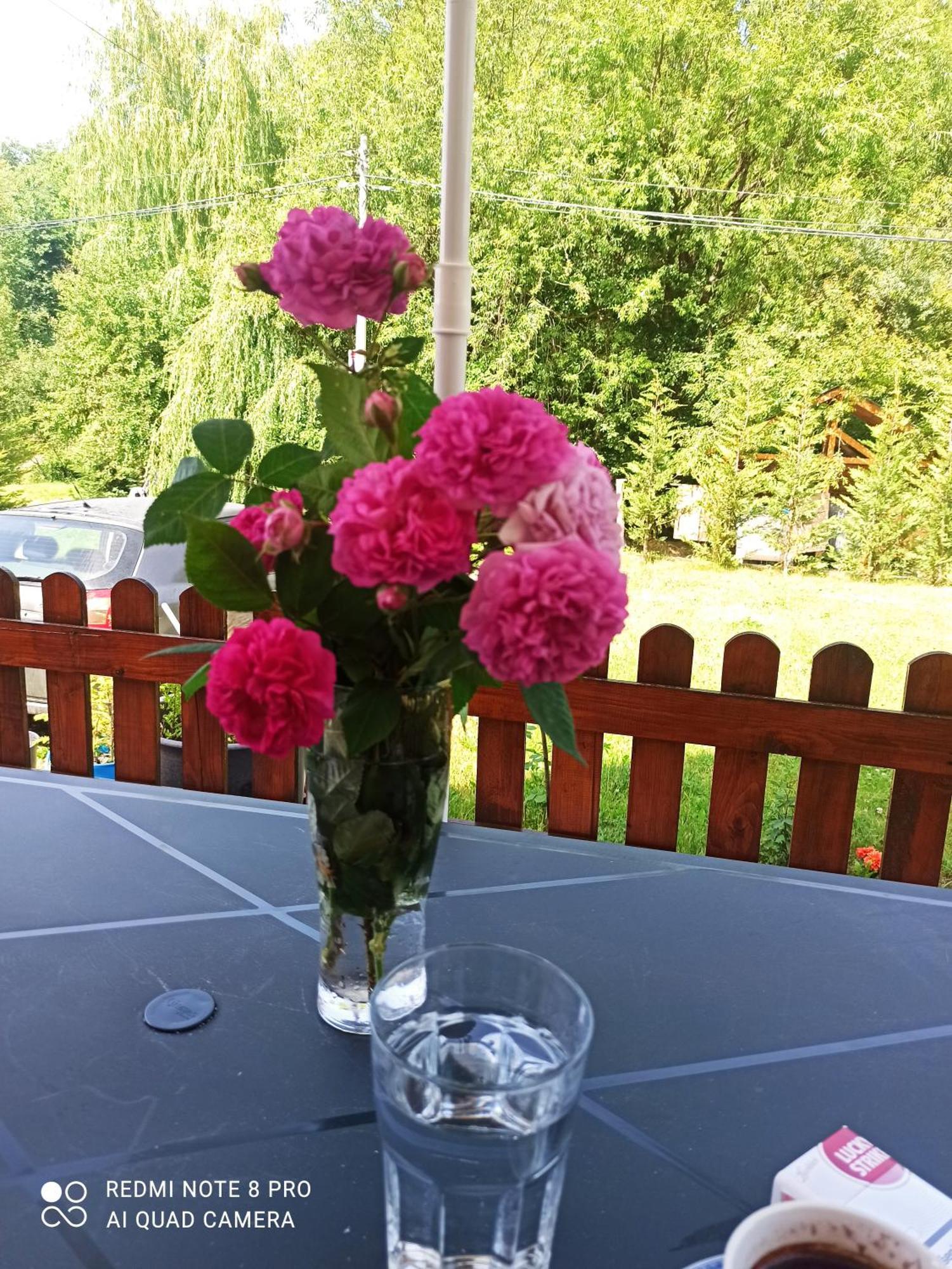 Holiday Home Ivana โคลาชิน ภายนอก รูปภาพ